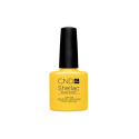 Cnd Shellac Bicycle Yellow