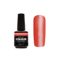 Colour Gloss Snapdragon