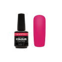 Colour Gloss V.I.Pink Room