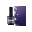 Colour Gloss Workout Warrior