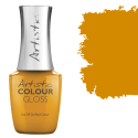 Colour Gloss Wander With Me  15ml (0.5 flOz)