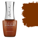 Colour Gloss Take Me Anywhere  15ml (0.5 flOz)